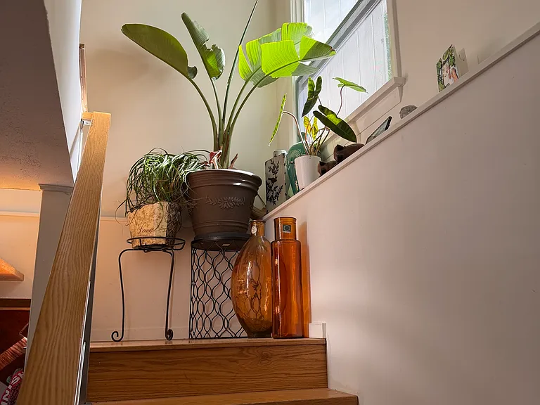 10 Heron Rd — Photo 21