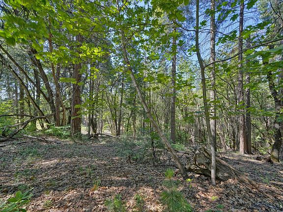 5th image of 4681 Glenwood Dr