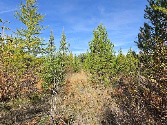 2nd image of 0 Timberline Hts #5