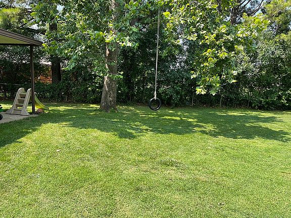 Backyard in spring