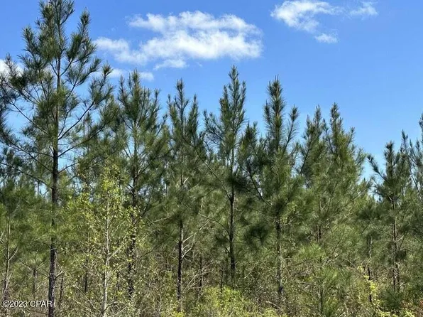 TRACT 6416 Brock Rd, Caryville, FL 32427