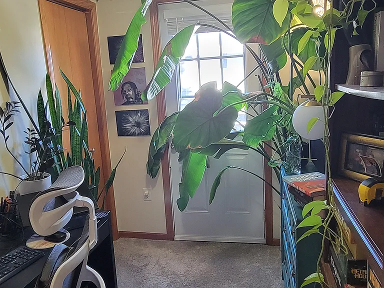 2518 E Johnson St #2 — Photo 4