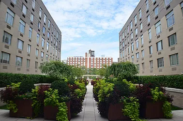 Rented by New Vista Horizons, Inc.