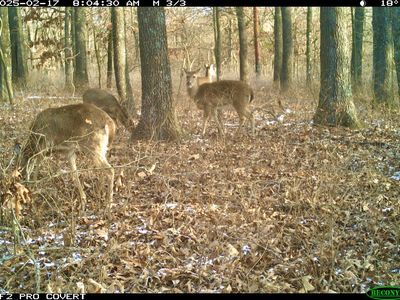 000 Raven Road, Granby, MO, 64844