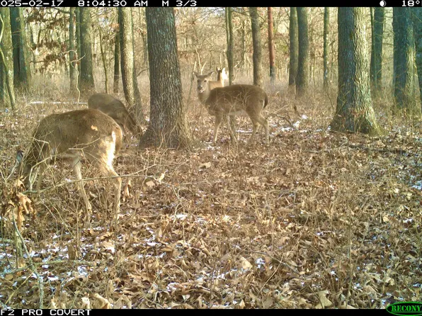 000 Raven Road, Granby, MO 64844