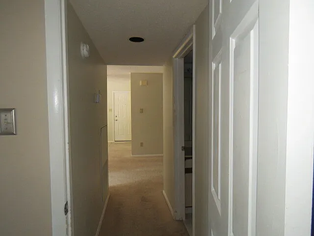 3803 Chimney Ridge Pl #3 — Photo 8