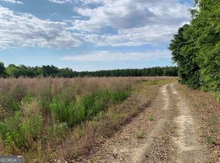 0 Mock St LOT 4, Sylvania, GA 30467