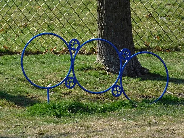 Windsor Oaks — Photo 23