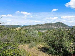 1540 County Road 240, Durango, CO 81301