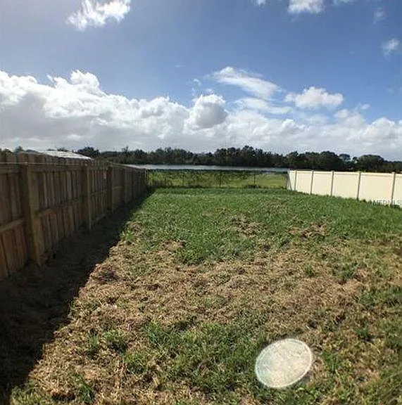 Back yard