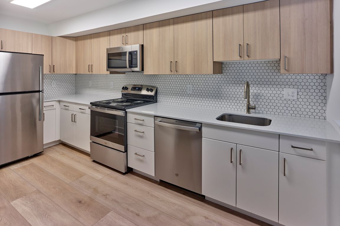 Sleek and Modern Kitchen