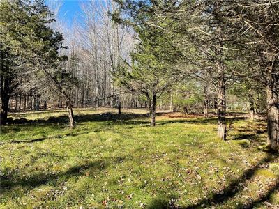 Deer Run Road, Ashland, NY, 12407