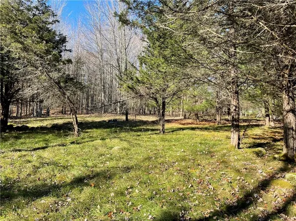 Deer Run Road, Ashland, NY 12407