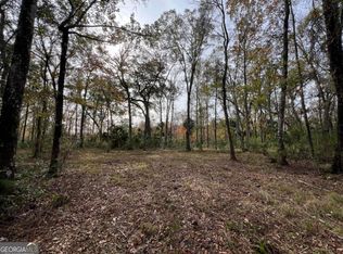 597 Salt Creek Way, Brunswick, GA 31523