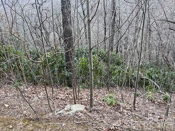 3rd image of 11 Majestic Overlook Way #36