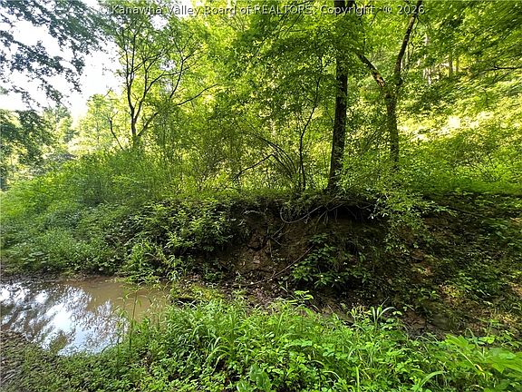 4th image of 0 Starchers Fork Rd