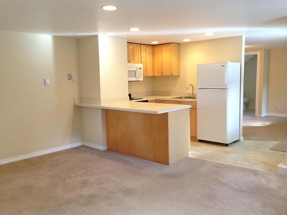 Open plan living room and kitchen