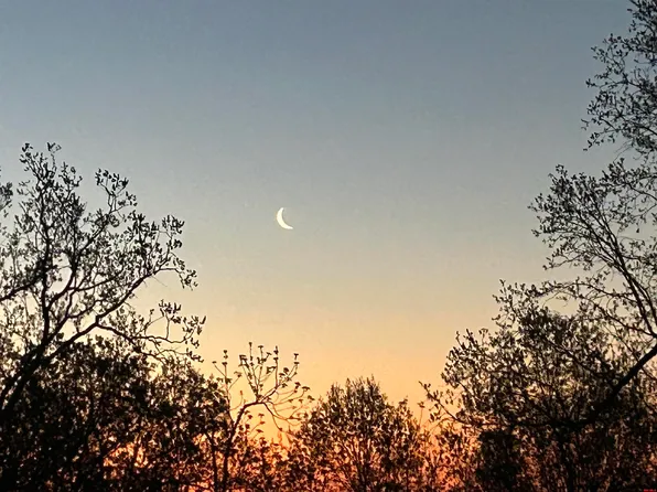 001-06381 0 Juniper Berry Rd, Salem, AR 72576