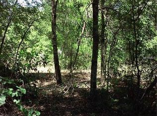 Alligator Rd, Clermont, FL 34714