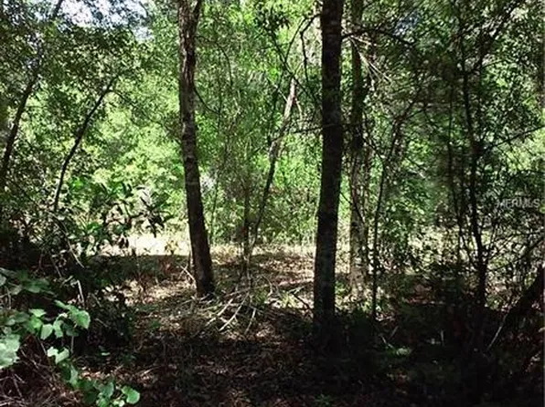 Alligator Rd, Clermont, FL 34714