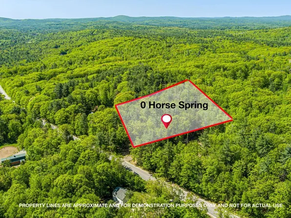 0 Horse Spring Hill Road #168, Weare, NH 03281
