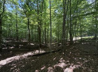 204 Guidon Ct, Ellijay, GA 30540