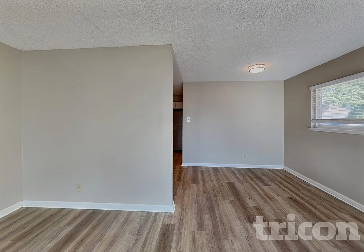 3445 Kings Row Reno NV — Photo 4