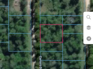 Carters Dr, Livingston, TX 77351