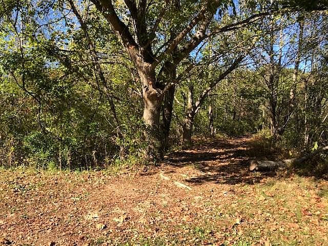 1st image of LOT 13 Mooresburg Springs Rd