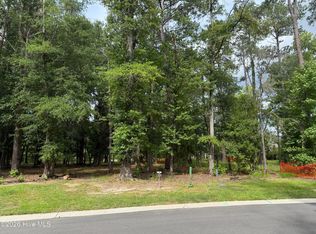 3698 Excelsior Ln LOT 531, Castle Hayne, NC 28429