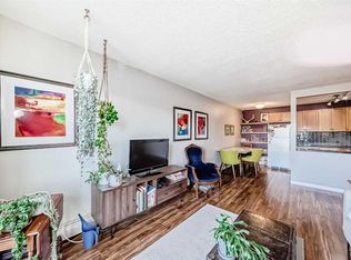 823 S 1st Ave NW #302, Calgary, AB T2N 0A4