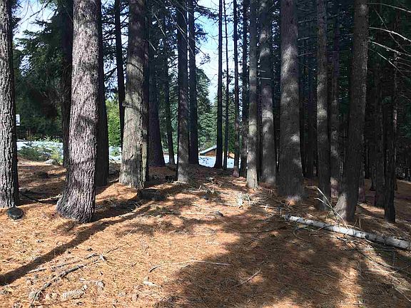 4th image of 846 Timber Ridge Rd