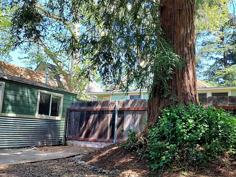 1232 Oakdale St #B — Photo 21