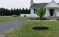 1st image of 34058 Mulberry Ln