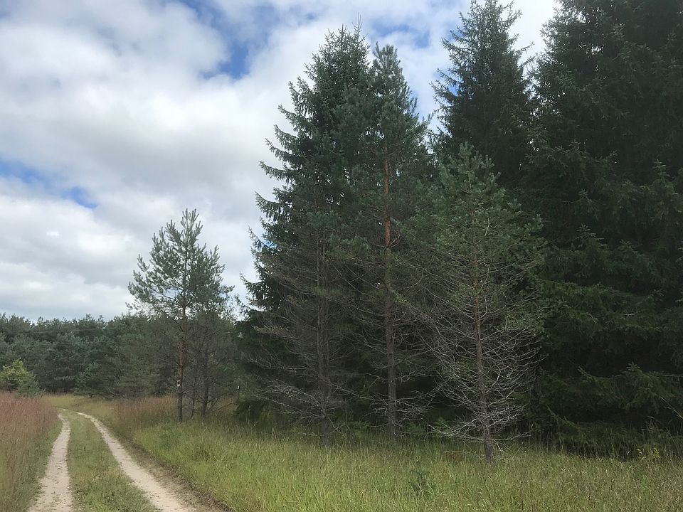 1st image of 13072 Sugarbush Ln