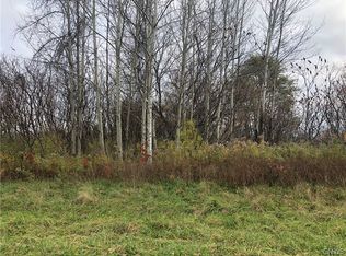15 Knapps Knolle Lot Schuyler Ky, Frankfort, NY 13340