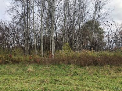 15 Knapps Knolle Lot Schuyler Ky, Frankfort, NY, 13340