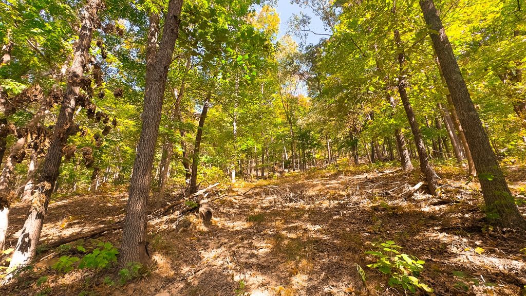 Real estate listing image