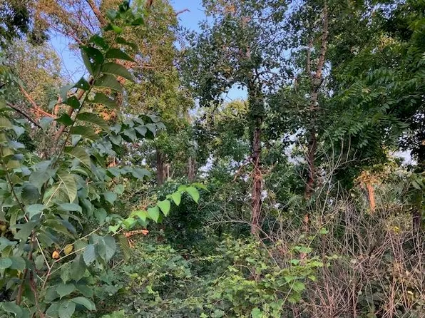 2 Csm #4904, New Glarus, WI 53574
