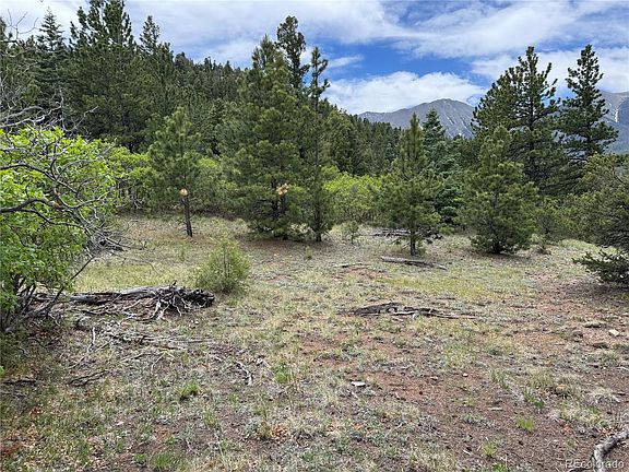 4th image of Knotty Pine Road