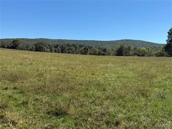 0 County Road 157, Des Arc, MO 63636