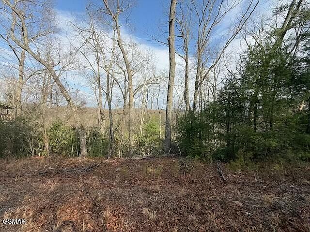 1st image of 973 & 974 Ridgefield Dr