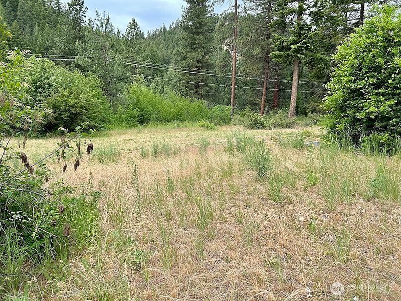 3rd image of 15425 Chumstick Highway