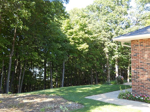 Rear yard from driveway