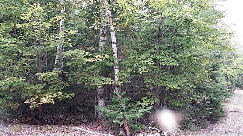 2nd image of Lot 808 Maple Street
