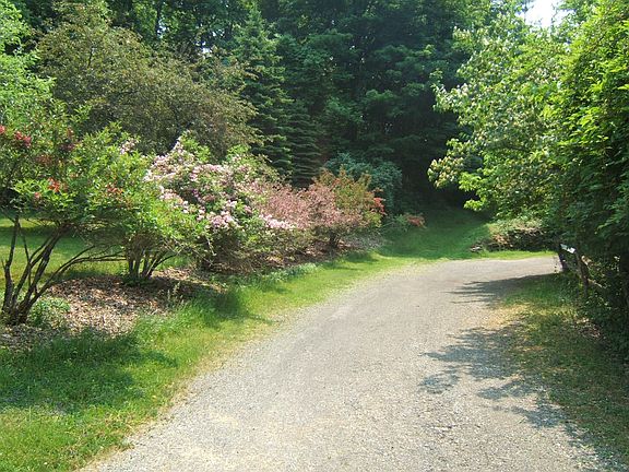 TREE-LINED DRIVEWAY