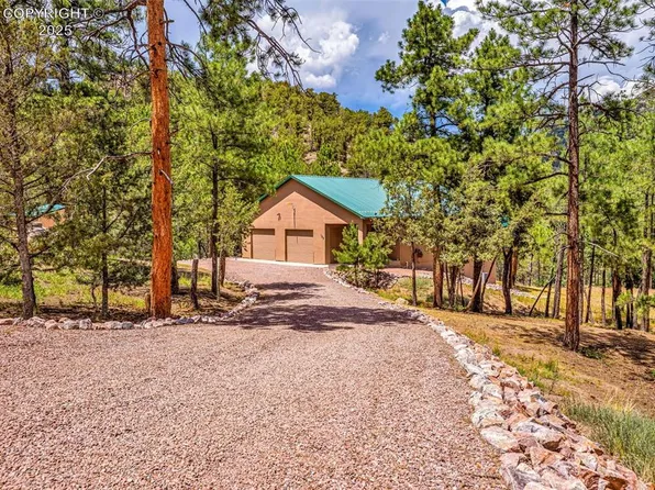 133 Mineshaft Pl, Cotopaxi, CO 81223