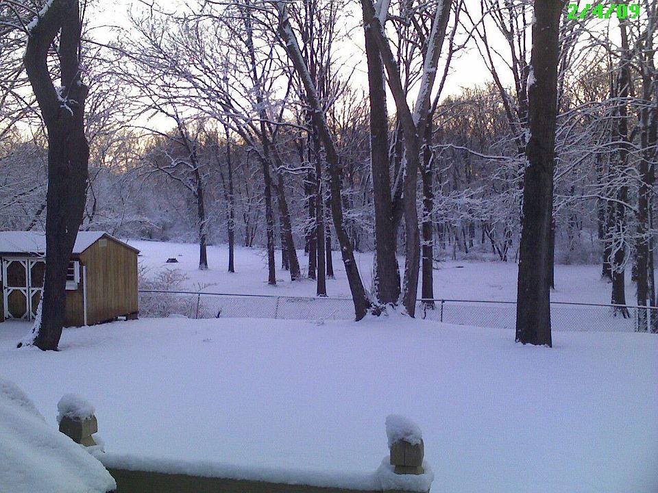 2nd image of 116 Elmhurst Ave