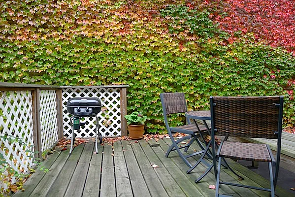 Rented by Brown Harris Stevens | media 18