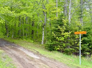 532 State Route 8 #1, Piseco, NY 12139